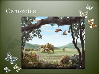 Cenozoica
 