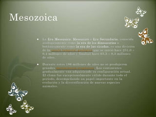 Mesozoica

        La Era Mesozoica, Mesozoico o Era Secundaria, conocida
         zoológicamente como la era de los dinosaurios o
         botánicamente como la era de las cícadas, es una división
         de la escala temporal geológica que se inició hace 251,0 ±
         0,4 millones de años y finalizó hace 65,5 ± 0,3 millones
         de años.

        Durante estos 186 millones de años no se produjeron
         grandes movimientos orogénicos. Los continentes
         gradualmente van adquiriendo su configuración actual.
         El clima fue excepcionalmente cálido durante todo el
         período, desempeñando un papel importante en la
         evolución y la diversificación de nuevas especies
         animales.
 