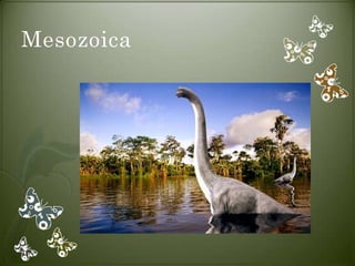 Mesozoica
 