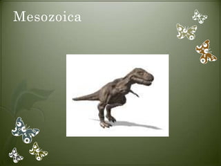 Mesozoica
 