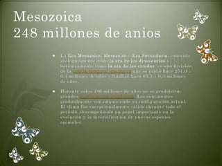 Mesozoica
248 millones de anios
        La Era Mesozoica, Mesozoico o Era Secundaria, conocida
         zoológicamente como la era de los dinosaurios o
         botánicamente como la era de las cícadas, es una división
         de la escala temporal geológica que se inició hace 251,0 ±
         0,4 millones de años y finalizó hace 65,5 ± 0,3 millones
         de años.

        Durante estos 186 millones de años no se produjeron
         grandes movimientos orogénicos. Los continentes
         gradualmente van adquiriendo su configuración actual.
         El clima fue excepcionalmente cálido durante todo el
         período, desempeñando un papel importante en la
         evolución y la diversificación de nuevas especies
         animales.
 
