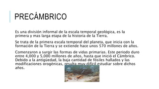 PRECÁMBRICO
Es una división informal de la escala temporal geológica, es la
primera y mas larga etapa de la historia de la Tierra.
Se trata de la primera escala temporal del planeta, que inicia con la
formación de la Tierra y se extiende hace unos 570 millones de años.
Comenzaron a surgir las formas de vidas primarias. Este periodo duro
entre 4,000 y 5,000 millones de años, hasta que inició el Cámbrico.
Debido a la antigüedad, la baja cantidad de fósiles hallados y las
modificaciones orogénicas, resulta muy difícil estudiar sobre dichos
años.
 