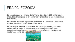 ERA PALEOZOICA
Es una etapa de la Historia de la Tierra de más de 290 millones de
años. Esta Era sigue a la precámbrica y procede a la Era Mesozoica o
Secundaria.
Esta Era se divide en 6 periodos como son el Cámbrico, Ordovícico,
Silúrico, Devónico, Carbonífero y Pérmico.
Esta Era abarca desde la proliferación de animales con concha o
exoesqueleto hasta el momento que el mundo empezó a ser
denominado por los grandes reptiles y por plantas relativamente
modernas, como las coníferas.
 