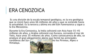 ERA CENOZOICA
Es una división de la escala temporal geológica, es la era geológica
que se inició hace unos 66 millones de años y que se extiende hasta
la actualidad. Es la tercera y última era del Eón Fanerozoico y sigue a
la Era Mesozoica.
Durante la Era Cenozoica, la India colisionó con Asia hace 55-45
millones de años, y Arabia colisionó con Eurasia, cerrando el mar de
Tetis, hace unos 35 millones de años. Como consecuencia de ello, se
produce el gran plegamiento alpino que formó las principales
cordilleras del Sur de Europa y Asia, como los Pirineos, Alpes e
Himalaya.
 