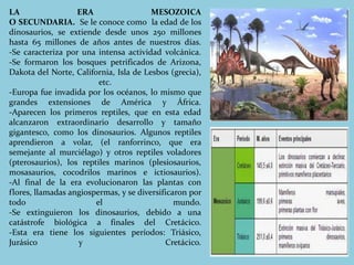 LA ERA MESOZOICA 
O SECUNDARIA. Se le conoce como la edad de los 
dinosaurios, se extiende desde unos 250 millones 
hasta 65 millones de años antes de nuestros días. 
-Se caracteriza por una intensa actividad volcánica. 
-Se formaron los bosques petrificados de Arizona, 
Dakota del Norte, California, Isla de Lesbos (grecia), 
etc. 
-Europa fue invadida por los océanos, lo mismo que 
grandes extensiones de América y África. 
-Aparecen los primeros reptiles, que en esta edad 
alcanzaron extraordinario desarrollo y tamaño 
gigantesco, como los dinosaurios. Algunos reptiles 
aprendieron a volar, (el ranforrinco, que era 
semejante al murciélago) y otros reptiles voladores 
(pterosaurios), los reptiles marinos (plesiosaurios, 
mosasaurios, cocodrilos marinos e ictiosaurios). 
-Al final de la era evolucionaron las plantas con 
flores, llamadas angiospermas, y se diversificaron por 
todo el mundo. 
-Se extinguieron los dinosaurios, debido a una 
catástrofe biológica a finales del Cretácico. 
-Esta era tiene los siguientes períodos: Triásico, 
Jurásico y Cretácico. 
 