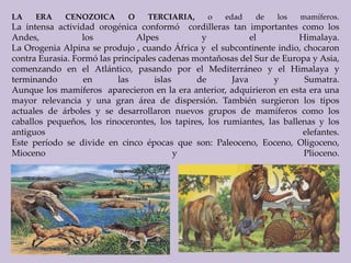 LA ERA CENOZOICA O TERCIARIA, o edad de los mamíferos. 
La intensa actividad orogénica conformó cordilleras tan importantes como los 
Andes, los Alpes y el Himalaya. 
La Orogenia Alpina se produjo , cuando África y el subcontinente indio, chocaron 
contra Eurasia. Formó las principales cadenas montañosas del Sur de Europa y Asia, 
comenzando en el Atlántico, pasando por el Mediterráneo y el Himalaya y 
terminando en las islas de Java y Sumatra. 
Aunque los mamíferos aparecieron en la era anterior, adquirieron en esta era una 
mayor relevancia y una gran área de dispersión. También surgieron los tipos 
actuales de árboles y se desarrollaron nuevos grupos de mamíferos como los 
caballos pequeños, los rinocerontes, los tapires, los rumiantes, las ballenas y los 
antiguos elefantes. 
Este período se divide en cinco épocas que son: Paleoceno, Eoceno, Oligoceno, 
Mioceno y Plioceno. 
 