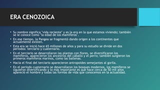 ERA CENOZOICA
• Su nombre significa "vida reciente" y es la era en la que estamos viviendo; también
se le conoce como "la edad de los mamíferos".
• En ese tiempo, la Pangea se fragmentó dando origen a los continentes que
actualmente existen.
• Esta era se inició hace 65 millones de años y para su estudio se divide en dos
periodos: terciario y cuaternario.
• En el terciario se desarrollaron las plantas con flores, se diversificaron los
mamíferos, aparecieron los ancestros del caballo y el perro; también surgieron los
primeros mamíferos marinos, como las ballenas.
• Hacia el final del terciario aparecieron antropoides semejantes al gorila.
• En el periodo cuaternario se desarrollaron los bosques modernos, los mamíferos se
siguieron diversificando y lo más importante es que hace cerca de 50 mil años
apareció el hombre y todas las formas de vida que conocemos en la actualidad.

 