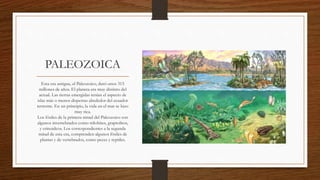 PALEOZOICA
Esta era antigua, el Paleozoico, duró unos 315
millones de años. El planeta era muy distinto del
actual. Las tierras emergidas tenían el aspecto de
islas más o menos dispersas alrededor del ecuador
terrestre. En un principio, la vida en el mar se hizo
muy rica.
Los fósiles de la primera mitad del Paleozoico son
algunos invertebrados como trilobites, graptolitos,
y crinoideos. Los correspondientes a la segunda
mitad de esta era, comprenden algunos fósiles de
plantas y de vertebrados, como peces y reptiles.
 
