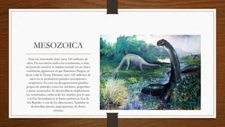 MESOZOICA
Esta era intermedia duró unos 160 millones de
años. En sus inicios todos los continentes, o islas,
del periodo anterior se habían reunido en un único
continente gigantesco al que llamamos Pangea, es
decir, toda la Tierra. Durante estos 160 millones de
años no se produjeron grandes movimientos
orogénicos. En esta era desaparecieron grandes
grupos de animales como los trilobites, graptolites
y peces acorazados. Se desarrollaron ampliamente
los vertebrados, sobre todo los reptiles, por lo que
a la Era Secundaria se le llama también la Era de
los Reptiles o era de los dinosaurios. También se
desarrollan plantas angiospermas, de flores
vistosas.
 