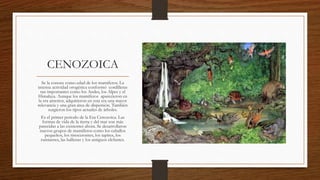 CENOZOICA
Se la conoce como edad de los mamíferos. La
intensa actividad orogénica conformó cordilleras
tan importantes como los Andes, los Alpes y el
Himalaya. Aunque los mamíferos aparecieron en
la era anterior, adquirieron en esta era una mayor
relevancia y una gran área de dispersión. También
surgieron los tipos actuales de árboles.
Es el primer periodo de la Era Cenozoica. Las
formas de vida de la tierra y del mar son más
parecidas a las existentes ahora. Se desarrollaron
nuevos grupos de mamíferos como los caballos
pequeños, los rinocerontes, los tapires, los
rumiantes, las ballenas y los antiguos elefantes.
 