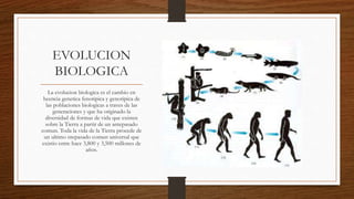 EVOLUCION
BIOLOGICA
La evolucion biologica es el cambio en
heencia genetica fenotipica y genotipica de
las poblaciones biologicas a traves de las
generaciones y que ha originado la
diversidad de formas de vida que existen
sobre la Tierra a partir de un antepasado
comun. Toda la vida de la Tierra procede de
un ultimo ntepasado comun universal que
existio entre hace 3,800 y 3,500 millones de
años.
 