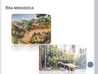 ERA MESOZOICA
 