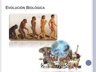 EVOLUCIÓN BIOLÓGICA
 