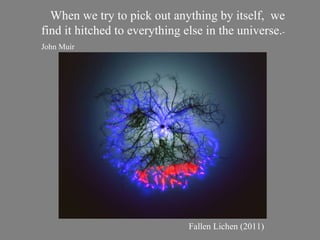 When we try to pick out anything by itself,  we find it hitched to everything else in the universe. -John Muir   Fallen Lichen (2011) 