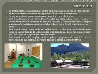  El centro situado en Talarrubias es una primera planta en la que se encuentra la
oficina de turismo, dos salas de exposiciones y una de audiovisuales.
 La segunda planta que es una terraza, conocida como el mirador.
 Está situado frente a la peña “la Gran Muralla” que alberga la mayor colonia de
buitre leonado de la provincia de Badajoz.También otras especies como la esquiva
y amenazada cigüeña negra, el alimoche, el búho real y águila perdicera, entre
otros.
 Está situado a dos km del embalse de García Sola, también conocido como Puerto
Peña, en la encrucijada de la Ruta de los Embalses, lo que hace que también haya
aves acuáticas en las proximidades del centro.
 Está situado cerca de una playa artificial y de otra playa natural, conocida como la
gravera en las que disfrutar el verano con los recursos hidrorrecreativos
 