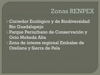 Corredor Ecológico y de Biodiversidad
Río Guadalupejo
Parque Periurbano de Conservación y
Ocio Moheda Alta
Zona de interes regional Embalse de
Orellana y Sierra de Pela
 