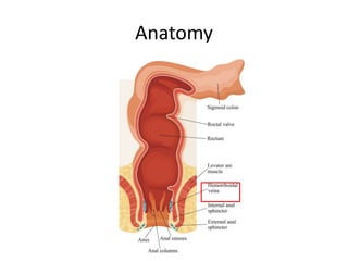 Anatomy
 