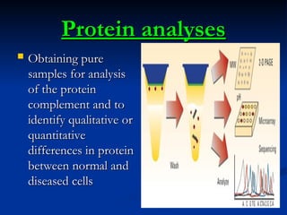 Protein analyses
Protein analyses
 Obtaining pure
Obtaining pure
samples for analysis
samples for analysis
of the protein
of the protein
complement and to
complement and to
identify qualitative or
identify qualitative or
quantitative
quantitative
differences in protein
differences in protein
between normal and
between normal and
diseased cells
diseased cells
 