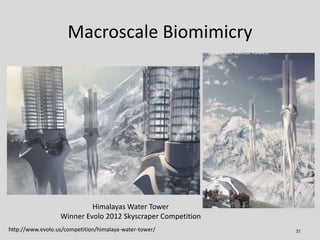 Macroscale Biomimicry
31
Himalayas Water Tower
Winner Evolo 2012 Skyscraper Competition
http://www.evolo.us/competition/hi...
