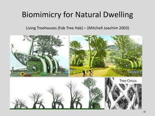 Biomimicry for Natural Dwelling
32
Living Treehouses (Fab Tree Hab) – (Mitchell Joachim 2003)
Tree Circus
 