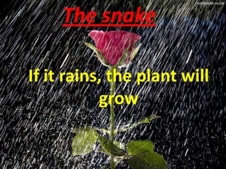 The snake

If it rains, the plant will
           grow
 
