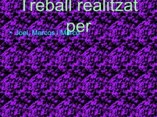 Treball realitzat 
per • Joel, Marcos i Marco 

