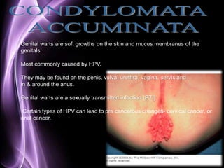 Genital warts are soft growths on the skin and mucus membranes of the 
genitals. 
Page 60 
Most commonly caused by HPV. 
They may be found on the penis, vulva, urethra, vagina, cervix and 
in & around the anus. 
Genital warts are a sexually transmitted infection (STI). 
Certain types of HPV can lead to pre cancerous changes- cervical cancer, or 
anal cancer. 
 