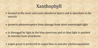 Xanthophyll
• located in the inner and outer plexiform layers and is abundant at the
macula
• protects photoreceptors from damage from short wavelength light
• is damaged by light in the blue spectrum and so blue light is avoided
in macular laser proedures
• argon green is preferred to argon blue in macular photocoagulation
 