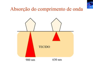 Absorção do comprimento de onda TECIDO 900 nm 630 nm 