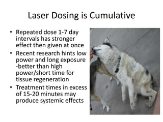 Laser Dosing is Cumulative
• Repeated dose 1-7 day
  intervals has stronger
  effect then given at once
• Recent research hints low
  power and long exposure
  -better than high
  power/short time for
  tissue regeneration
• Treatment times in excess
  of 15-20 minutes may
  produce systemic effects
 