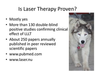 Is Laser Therapy Proven?
• Mostly yes
• More than 130 double-blind
  positive studies confirming clinical
  effect of LLLT
• About 250 papers annually
  published in peer reviewed
  scientific papers
• www.pubmed.com
• www.laser.nu
 