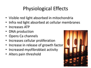 Physiological Effects
•   Visible red light absorbed in mitochondria
•   Infra red light absorbed at cellular membranes
•   Increases ATP
•   DNA production
•   Opens Ca channels
•   Increases cellular proliferation
•   Increase in release of growth factor
•   Increased myofibroblast activity
•   Alters pain threshold
 