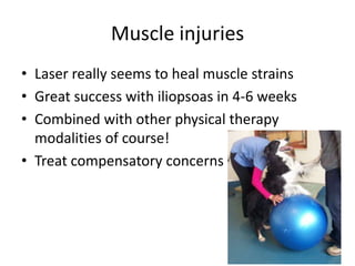 Muscle injuries
• Laser really seems to heal muscle strains
• Great success with iliopsoas in 4-6 weeks
• Combined with other physical therapy
  modalities of course!
• Treat compensatory concerns
 