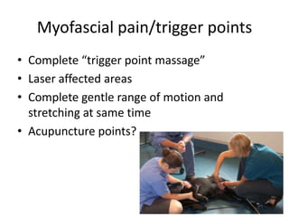 Myofascial pain/trigger points
• Complete “trigger point massage”
• Laser affected areas
• Complete gentle range of motion and
  stretching at same time
• Acupuncture points?
 
