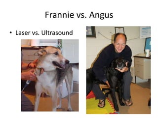 Frannie vs. Angus
• Laser vs. Ultrasound
 