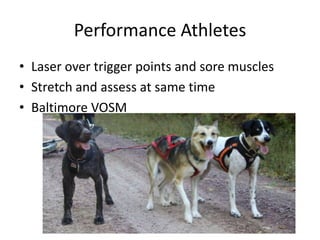 Performance Athletes
• Laser over trigger points and sore muscles
• Stretch and assess at same time
• Baltimore VOSM
 
