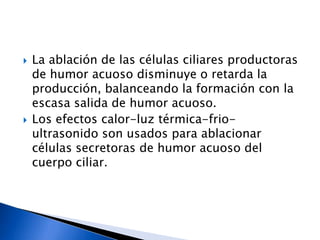 Mecanismo de acción.Rompe el bloqueo pupilar relativo que es concausa de angulo estrecho y cierre angular.Hace un bypass entre la C.A y C.PCuando no hay bloqueo pupilar como el Iris plateau o en meseta, no es de utilidad.Iridotomia con laser.