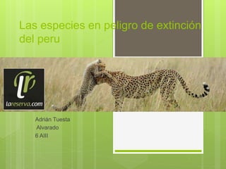 Las especies en peligro de extinción
del peru
Adrián Tuesta
Alvarado
6 AIII
 