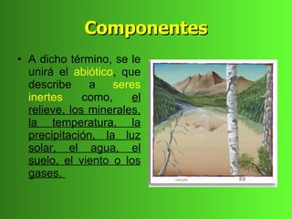 Componentes
• A dicho término, se le
  unirá el abiótico, que
  describe     a    seres
  inertes     como,    el
  relieve, los minerales,
  la temperatura, la
  precipitación, la luz
  solar, el agua, el
  suelo, el viento o los
  gases.
 