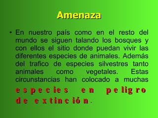 Amenaza
• En nuestro país como en el resto del
  mundo se siguen talando los bosques y
  con ellos el sitio donde puedan vivir las
  diferentes especies de animales. Además
  del trafico de especies silvestres tanto
  animales     como     vegetales.   Estas
  circunstancias han colocado a muchas
 e s   p e c ie s    e n     p e lig r o
 de     e x t in c ió n .
 
