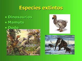 Especies extintos
• Dinosaurios
• Mamuts
• Dodo
 