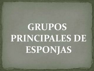 GRUPOS
PRINCIPALES DE
   ESPONJAS
 