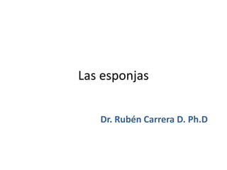 Las esponjas


   Dr. Rubén Carrera D. Ph.D
 