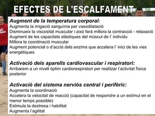 EFECTES DE L'ESCALFAMENT Augment de la temperatura corporal : Augmenta la irrigació sanguínia per vasodilatació Disminueix la viscositat muscular i això farà millora la contracció - relaxació Augment de les capacitats elàstiques del múscul de l’ individu Millora la coordinació muscular Augment potencial o d’acció dels enzims que accelera l’ inici de les vies energètiques Activació dels aparells cardiovascular i respiratori: Arribarem a un nivell òptim cardiorespiratori per realitzar l’activitat física posterior Activació del sistema nerviós central i perifèric: Augmenta la coordinació Accelera la velocitat de reacció (capacitat de respondre a un estímul en el menor temps possible) Estimula la destresa i habilitat Augmenta l’agilitat 