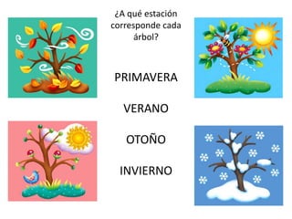 ¿A qué estación
corresponde cada
      árbol?



PRIMAVERA

  VERANO

   OTOÑO

  INVIERNO
 