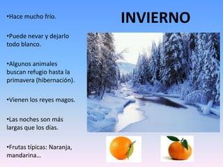 •Hace mucho frío.
                            INVIERNO
•Puede nevar y dejarlo
todo blanco.

•Algunos animales
buscan refugio hasta la
primavera (hibernación).

•Vienen los reyes magos.

•Las noches son más
largas que los días.

•Frutas típicas: Naranja,
mandarina…
 