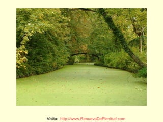 Visita:  http:// www.RenuevoDePlenitud.com 
