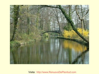 Visita:  http:// www.RenuevoDePlenitud.com 