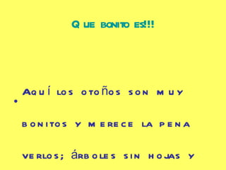 Que bonito es!!! Aquí los otoños son muy bonitos y merece la pena verlos; árboles sin hojas y los que las conservan de color amarillo, ah!, y sin olvidarse de las puestas de sol, son una maravilla! 