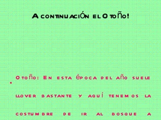 A continuación el Otoño! Otoño: En esta época del año suele llover bastante y aquí tenemos la costumbre de ir al bosque a buscar unas setas que se aprecian mucho por aquí: “esclatasangs” y “cames seques” (son los nombres con los cuales se las denomina aquí). 